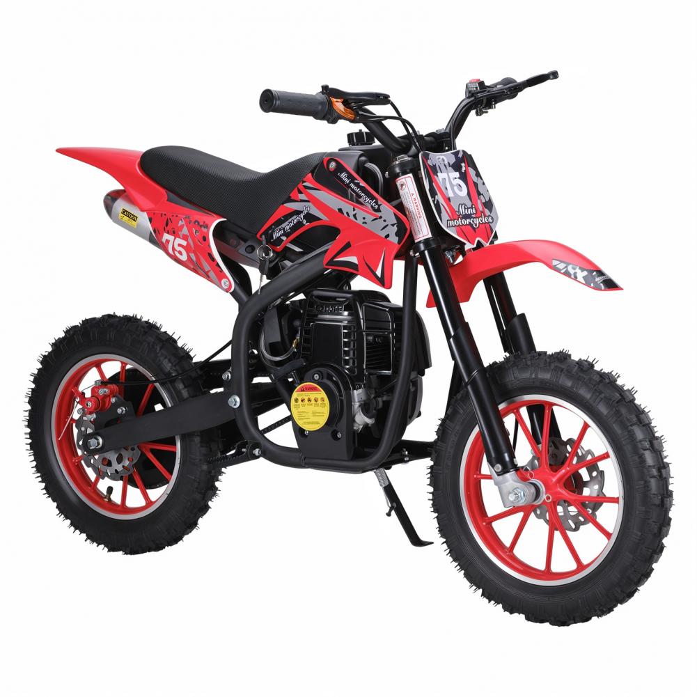 49cc 4-Stroke Kids Dirt Bike,  - Mountain Biking Kids review and price